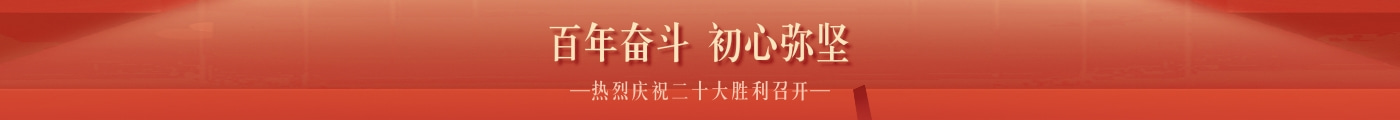 招投标合规与风险咨询服务横幅图