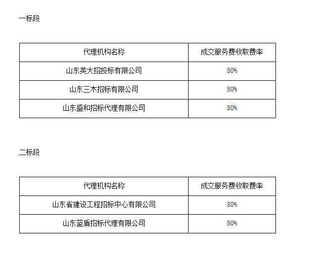 2026年度残疾人证管理维护项目中标公告(图1)